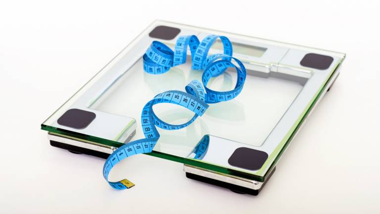 Obesity an ayurvedic overview